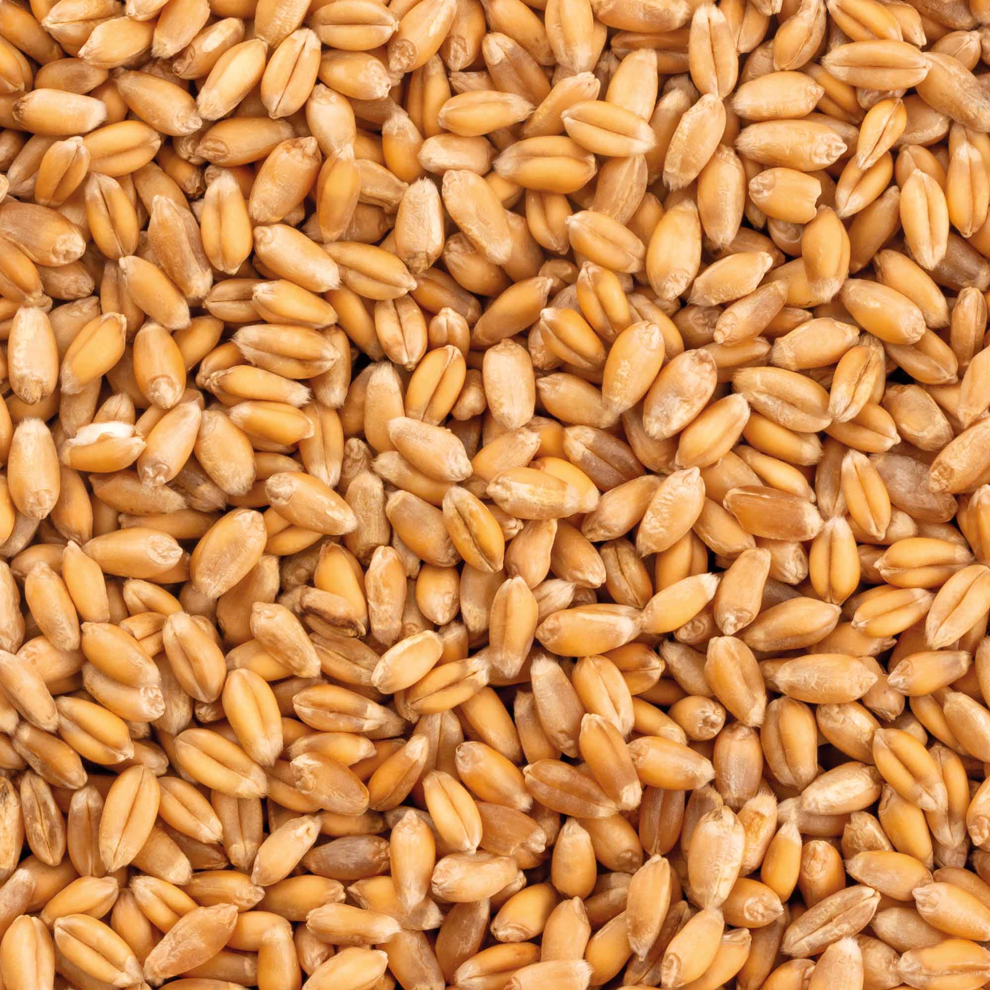 Arpacaș, 1 kg - imagine 4