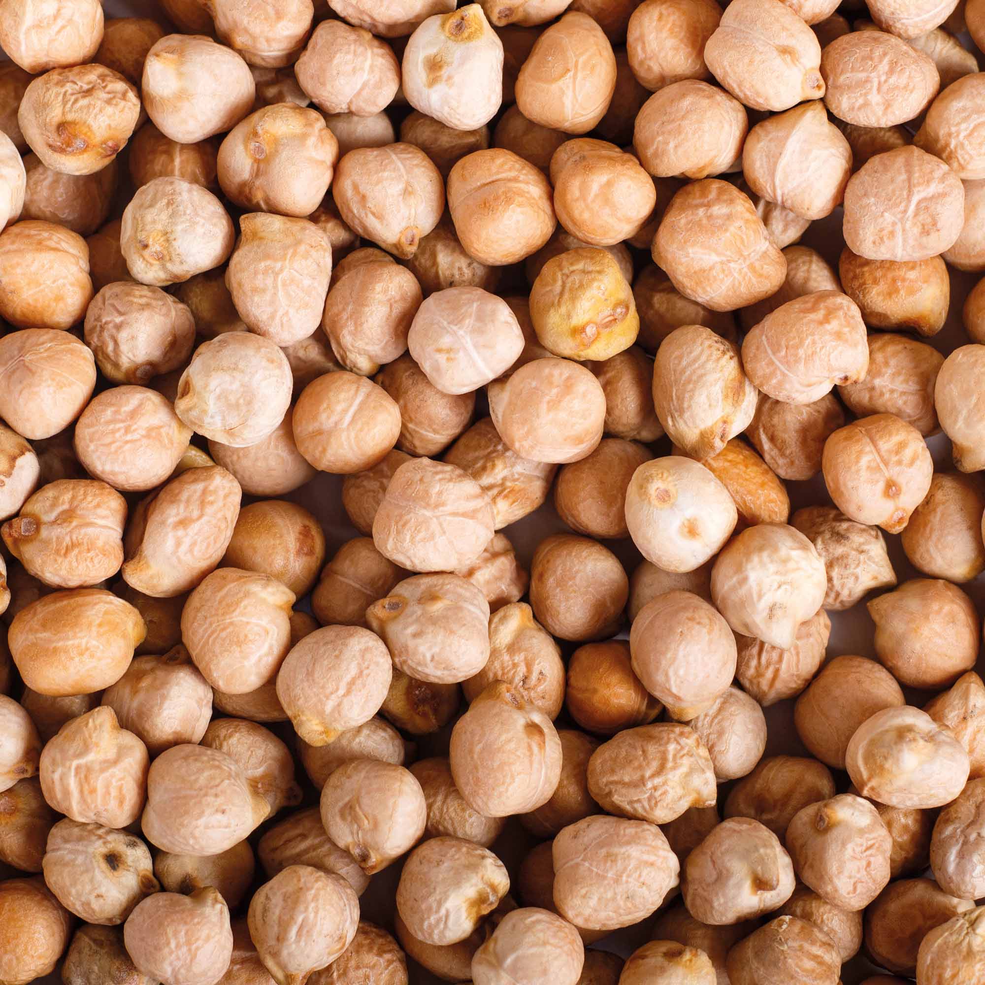 Năut, 1kg - imagine 2